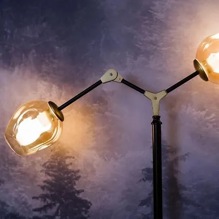 公寓 Joy City Piatra Craiului 8