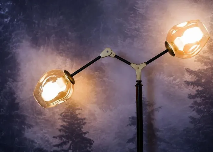 公寓 Joy City Piatra Craiului 8