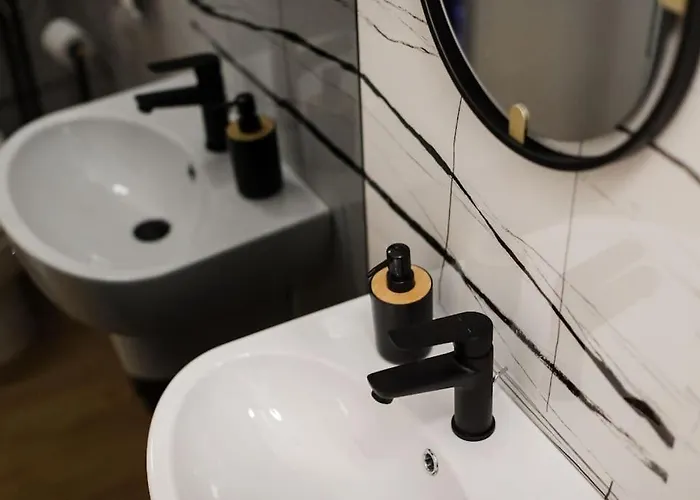 Joy City Piatra Craiului 8 蒂米什瓦拉